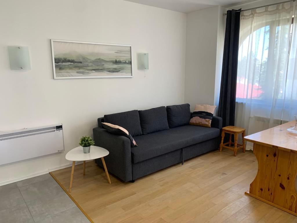 Flora Clover One Bedroom Apartment Nr. 18 Boroveț Exterior foto